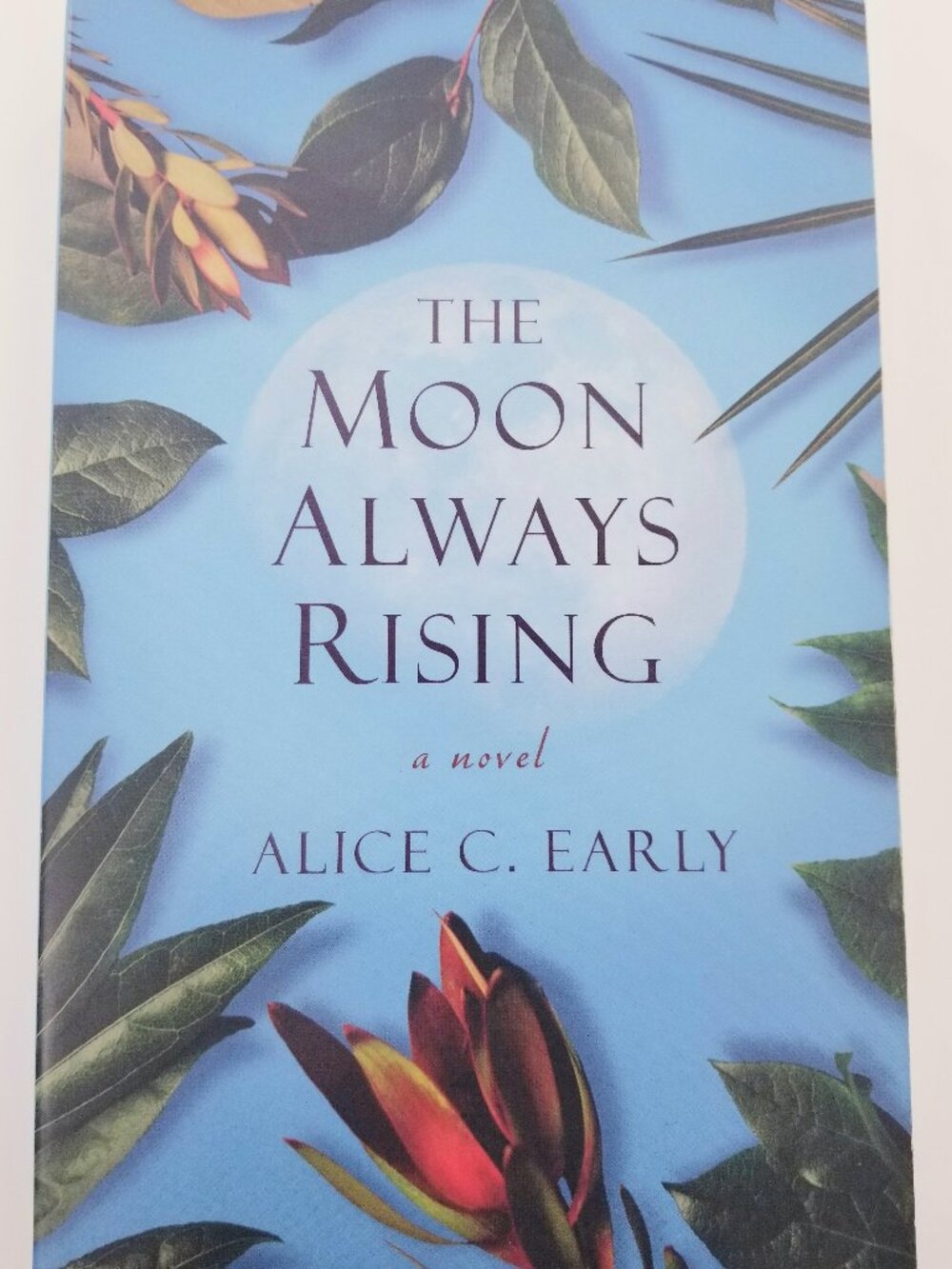 'The Moon Always Rising' Softcover by Alice Early